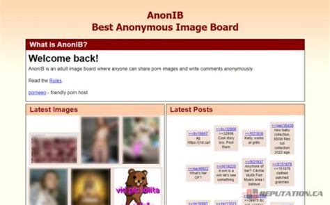 anon porn board|ANON